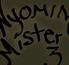 wyomingmister3